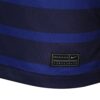 6669 MAILLOT FRANCE DOMICILE GRIEZMANN 2020 2021